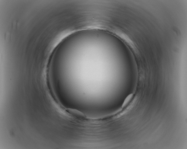 X0000114401423200910161305