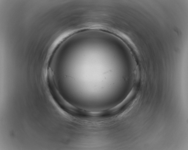 X0000114401424200910161305