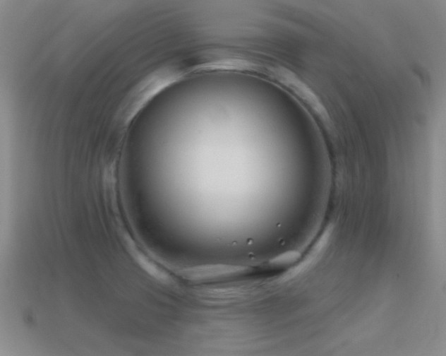 X0000114401425200910161305