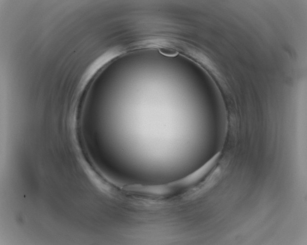 X0000114401426200910161305