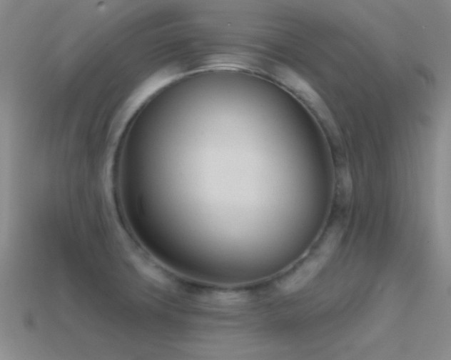 X0000114401427200910161305