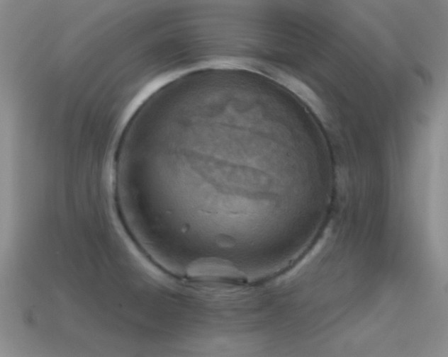 X0000114401428200910161305