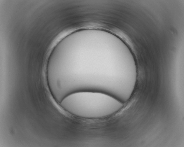 X0000114401429200910161305