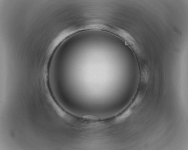 X0000114401430200910161305