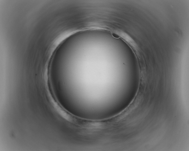 X0000114401431200910161306