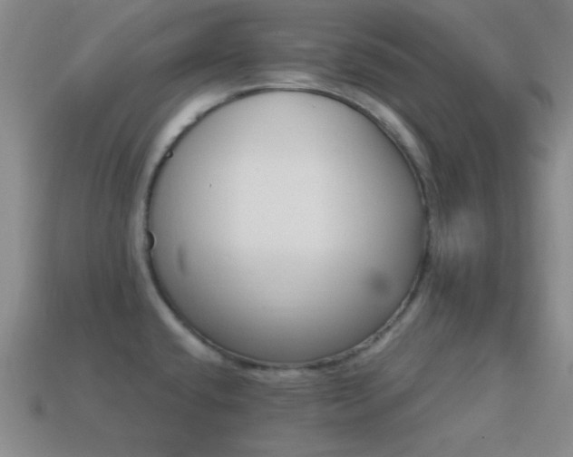 X0000114401432200910161306