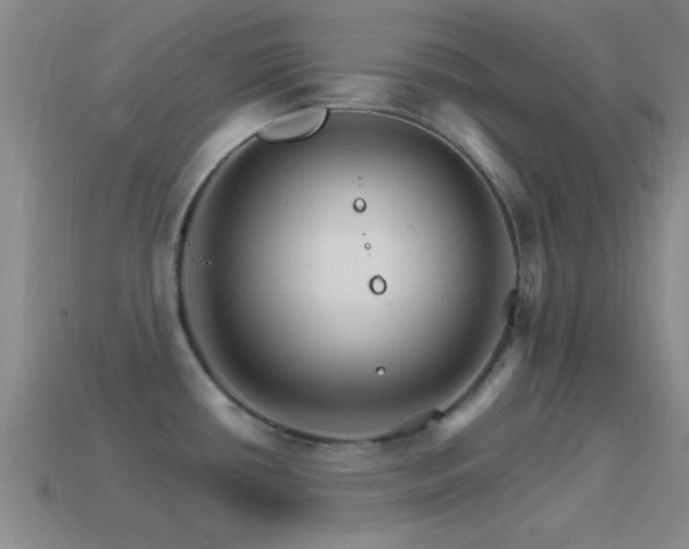 X0000114401434200910161306