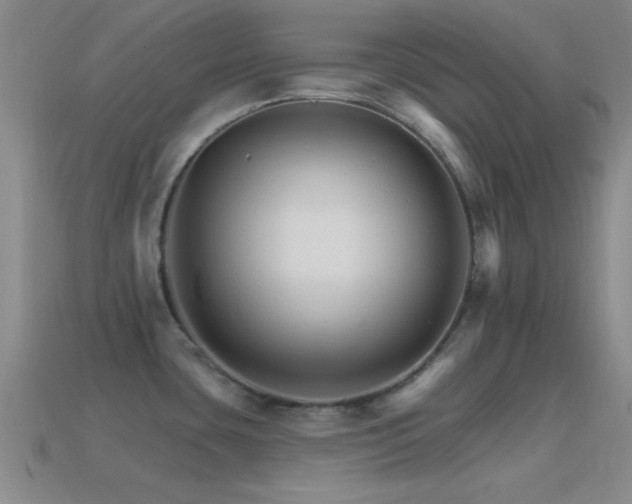 X0000114401435200910161306