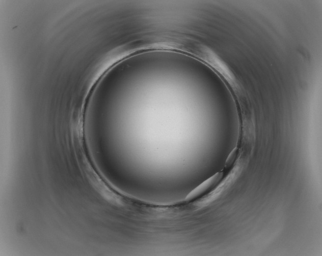 X0000114401436200910161306