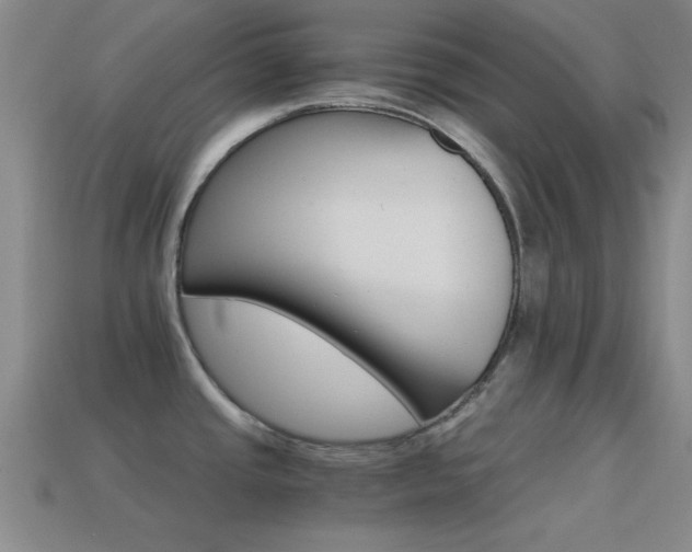 X0000114401437200910161306