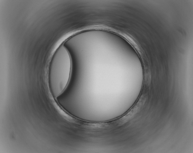 X0000114401438200910161306