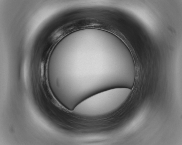 X0000114401439200910161306