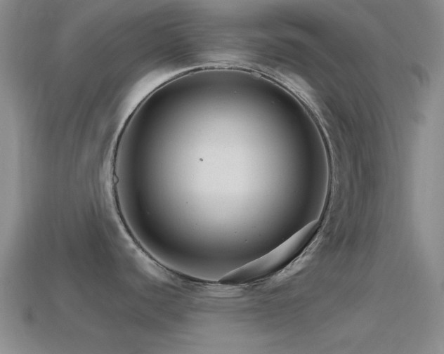 X0000114401440200910161306