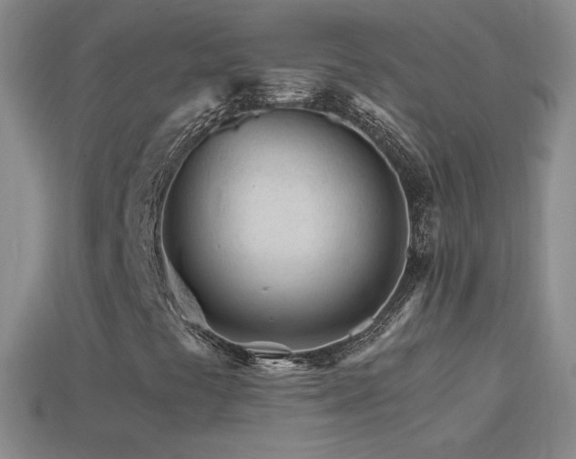 X0000114401441200910161305