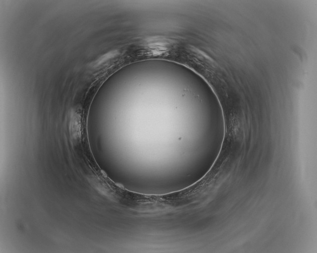 X0000114401442200910161305