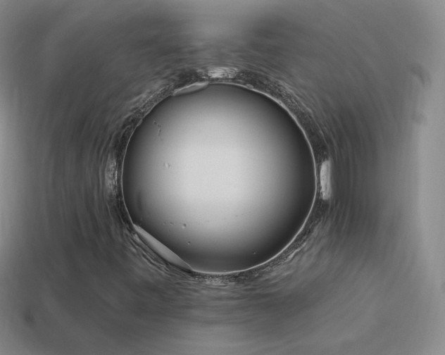 X0000114401443200910161305