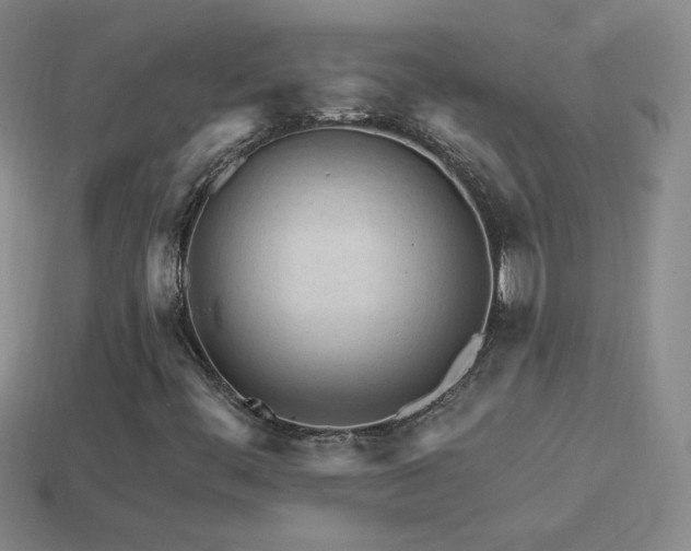 X0000114401444200910161305