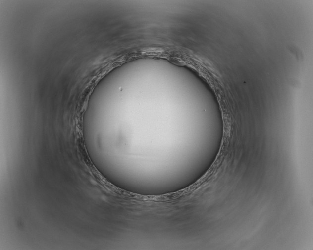 X0000114401445200910161305