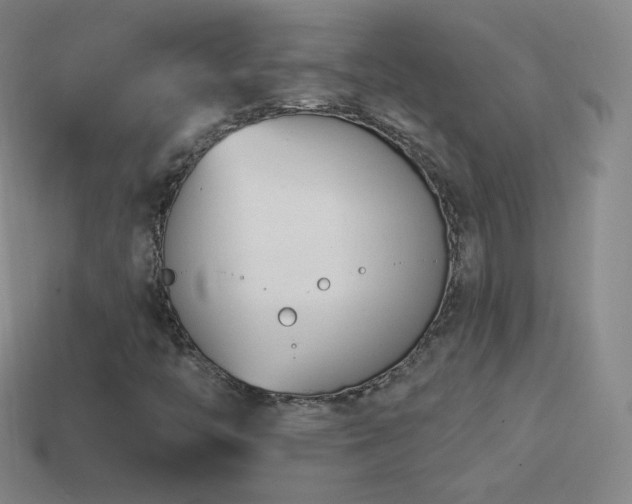 X0000114401446200910161305