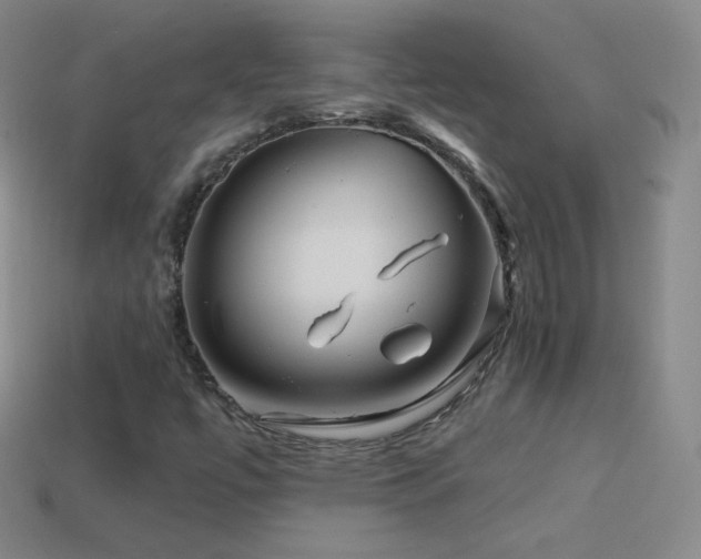 X0000114401447200910161305