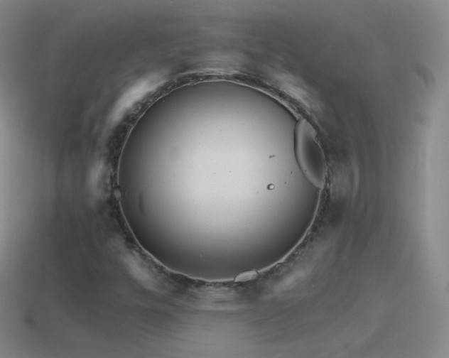 X0000114401448200910161305