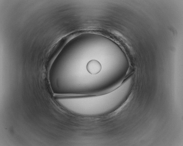 X0000114401449200910161305