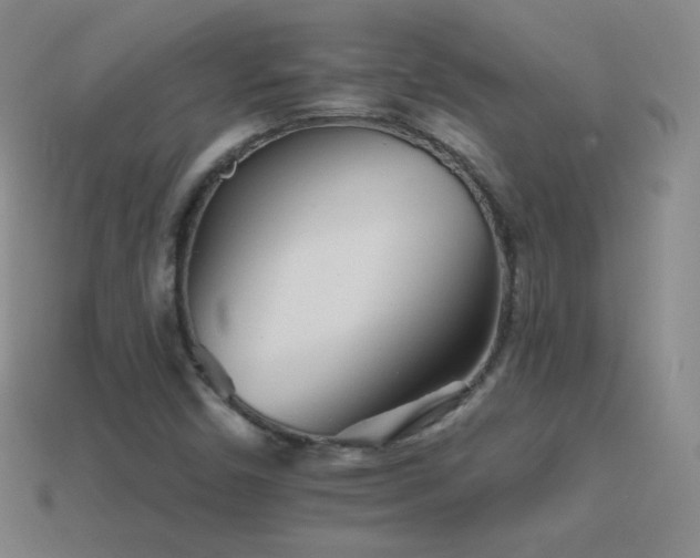 X0000114401450200910161305