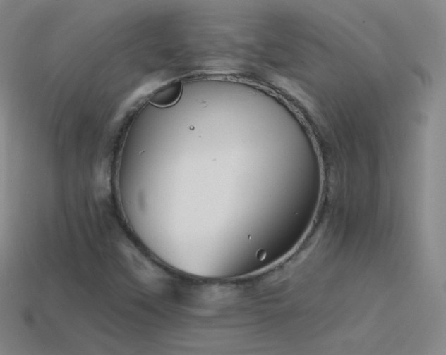 X0000114401451200910161305