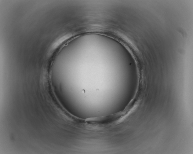 X0000114401453200910161305