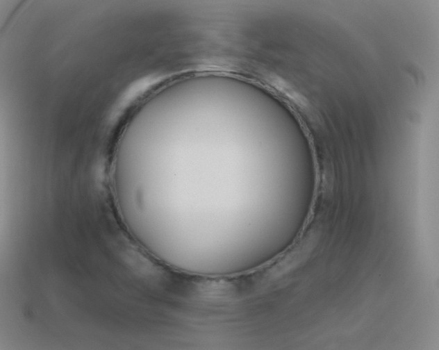 X0000114401454200910161305