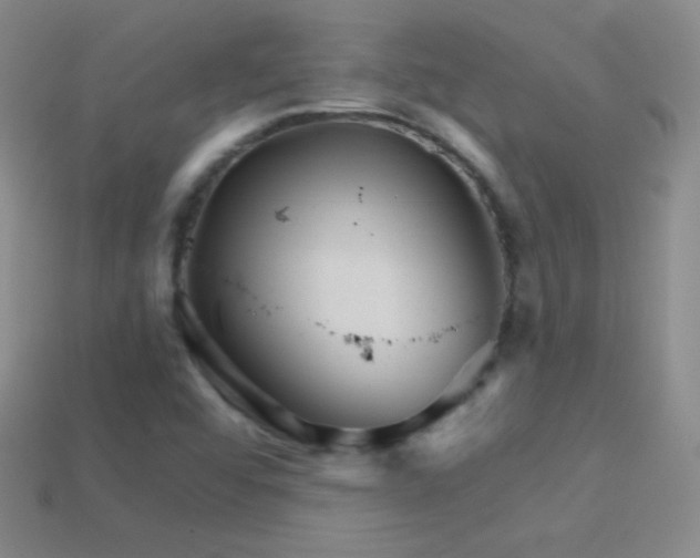 X0000114401456200910161305