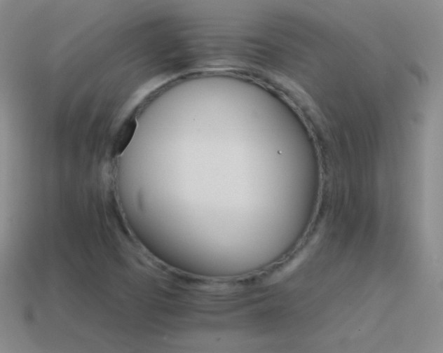 X0000114401457200910161305