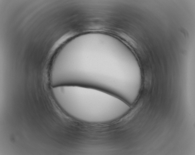 X0000114401458200910161305