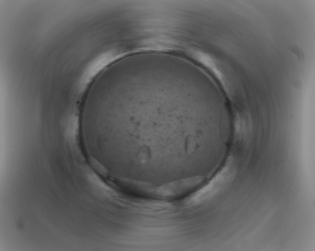 X0000114401459200910161305