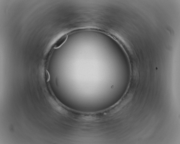 X0000114401460200910161305