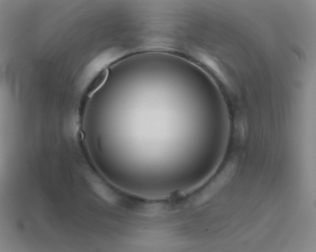 X0000114401461200910161305