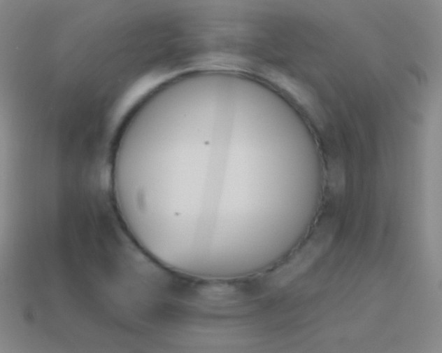 X0000114401462200910161305