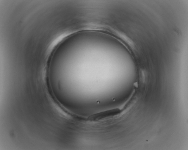 X0000114401463200910161305