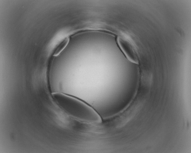 X0000114401464200910161305