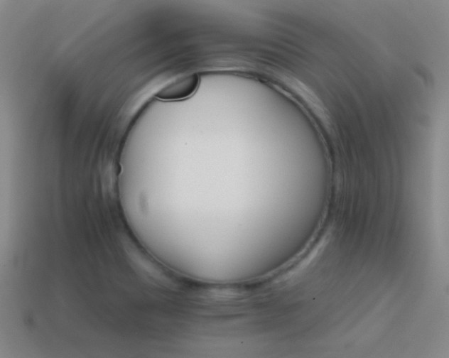 X0000114401465200910161305