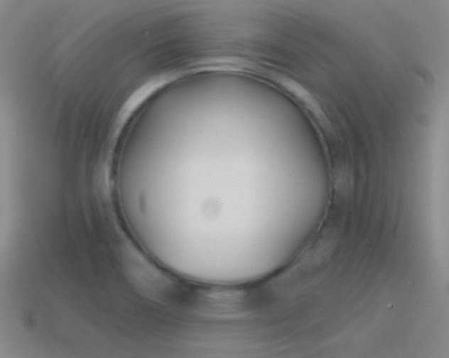 X0000114401466200910161305