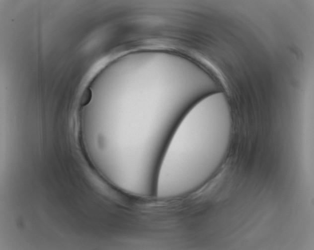 X0000114401467200910161305