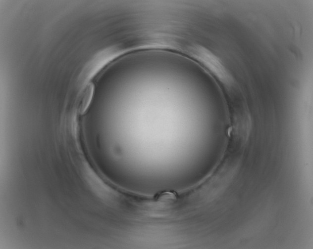 X0000114401468200910161305