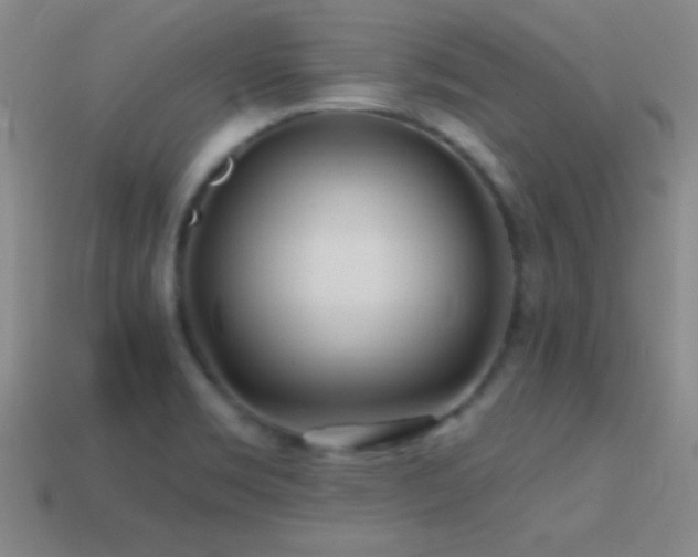 X0000114401469200910161305