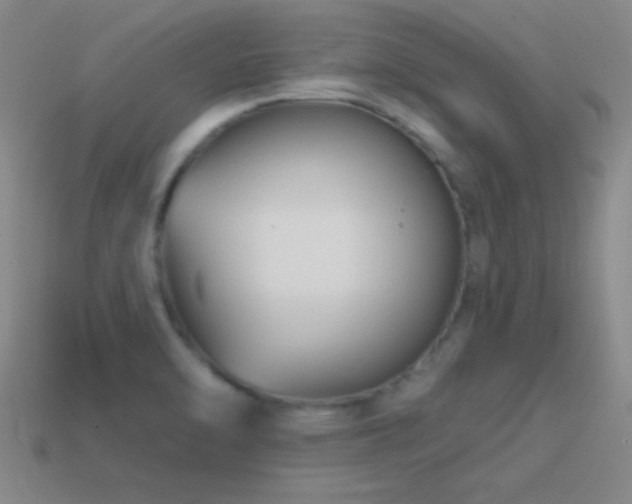 X0000114401470200910161305