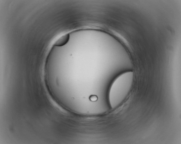 X0000114401471200910161305