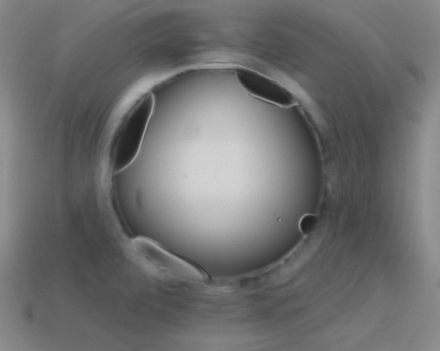 X0000114401472200910161305