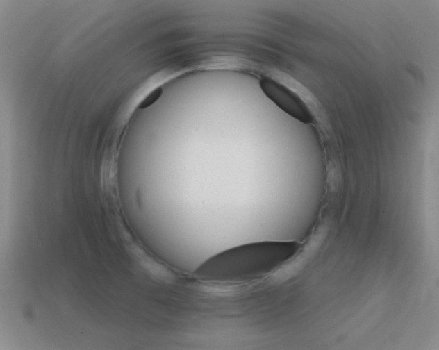 X0000114401473200910161305