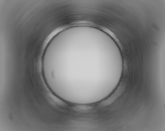 X0000114401474200910161305