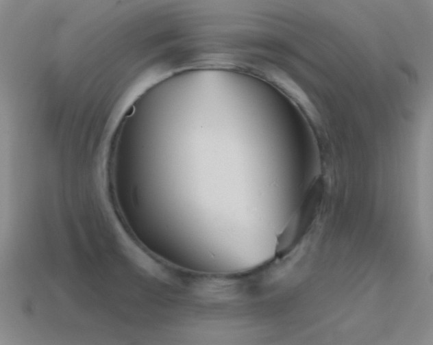 X0000114401475200910161305